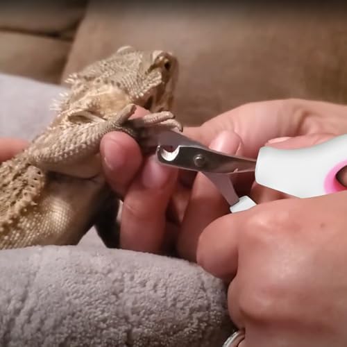 Bearded Dragon Nail Clippers with Precise Angled Edges - Image 7