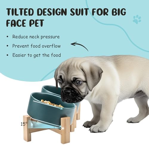SPUNKYJUNKY 15° Slanted Ceramic Dog and Cat Bowl with Wooden Stand, Tilted Bulldog Food and Water Bowl No Slip Non-Spill for Cats Medium Dogs Big Face Pets 28.7 OZ (3.6 Cups, Green × 2) - Image 2