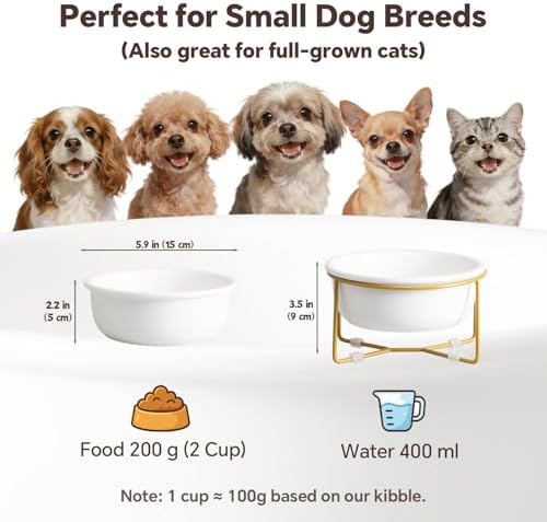 Elevated Ceramic Dog Bowl with Metal Stand - Raised Feeding Dish for Small Dogs and Cats - Ideal for Food or Water - Each Holds 400ml / 2 Cups (Approx. 200g) - White - Image 2