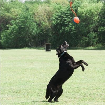 Chuckit! Rope Fetch Dog Toy, Ball on Rope, Durable EVA Rubber, 5.5-in - Image 2
