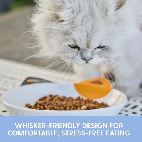 The Cat Ladies Ceramic Cat Bowls - Whisker Friendly Food Bowl - Cute Pet, Kitten Plates - Dishes for Indoor Cats - Dish for Wet Food & Water - Platos para Gatos - Calico, Small - Image 2