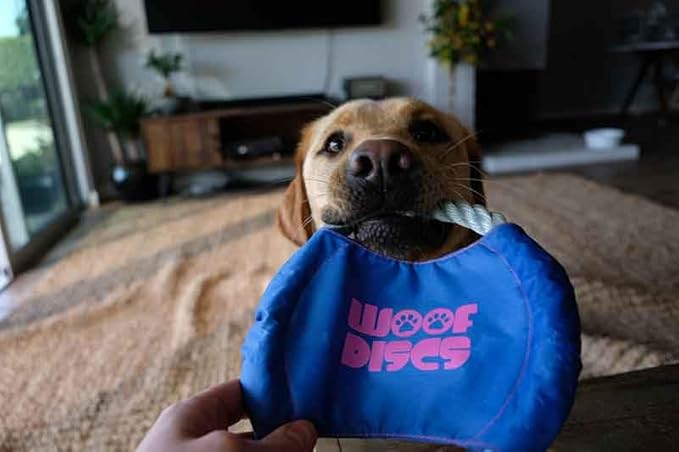 Flying Rope Disc, Dog Toy, 4 Pack (Blue and Yellow
