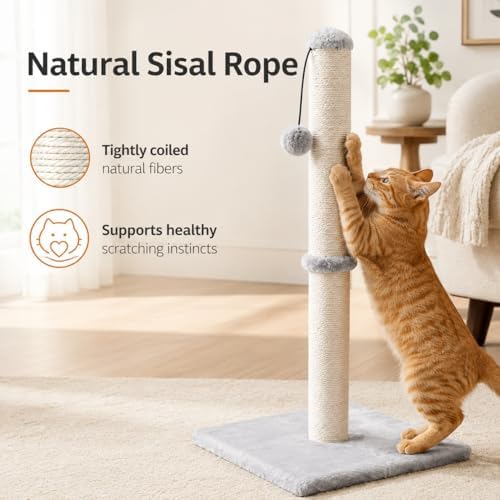 Dimaka 34" Tall Cat Scratching Post for Large Cats and Kittens, High Vertical Scratcher with Premium Natural Sisal Rope and Interactive Hanging Ball for Indoor Cat(Grey, 34 inches for Large Cats) - Image 7