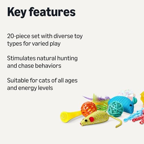 Amazon Basics Cat Toy Set, 20 Piece Variety Pack with Teaser, Ball, Feather, Spring - Image 2