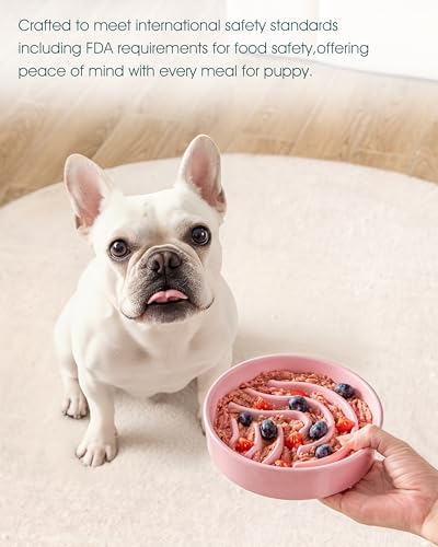 vancasso Slow Feeder Dog Bowl, 0.6 Cup Ceramic Slow Feeding Food Dish for Small Breed, Puzzle Dog Food Bowl for Fast Eater, Pink - Image 6