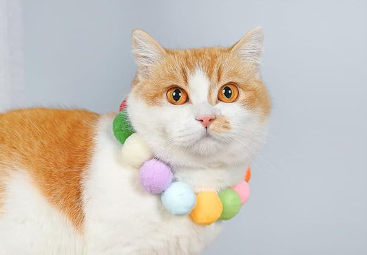 200pcs Cat Toy Ball Fun Colorful Plush Self Play Toys Pom Balls Shooting Interactive for Indoor Cats Enrichment Kittens Puff Ball Playing (Only 200 Pieces Balls)