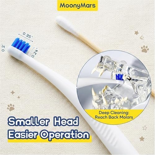 Cat Toothbrush, Small Dog & Puppy Tooth Brushing Kit, Mini 15° Curved Head Teeth Brush for Kitten Tiny Pet, Doggy Toothbrushes, 2 PCS - White - Image 2
