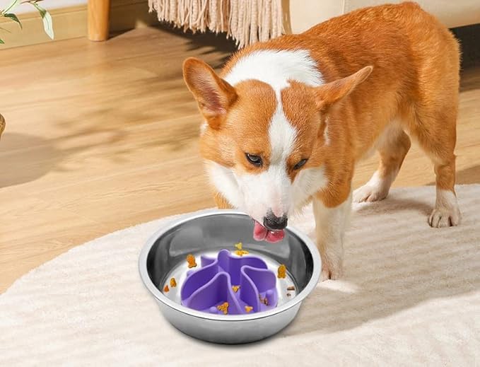 Slow Feeder for Dog Cat Puppy, Silicone Pet Feeder Insert with Strong Suction Cups, Medium, Purple