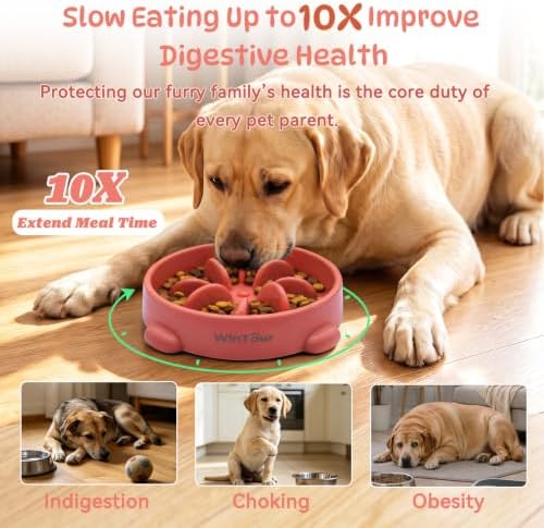 WinTour Slow Feeder Dog Bowls for Small Medium Pets, Round PP Dish, 1 Pack - Image 2