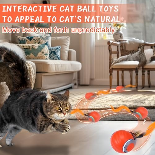 BABORUI 2Pack Orange Interactive Cat Toy Ball - Automatic Interactive Cat Toys for Indoor Cats with 3 Tails, 2 Speeds Rechargeable Enrichment for Small/Medium/Large to Keep Them Busy - Image 2