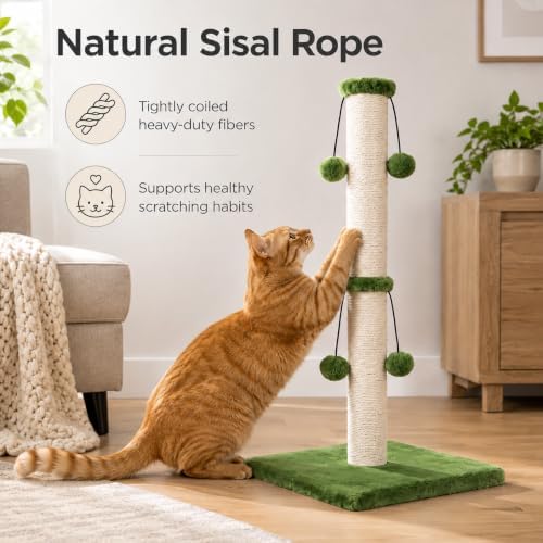 Dimaka Cat Scratching Post, Cat Scratcher for Large Cats with Teasing Toy Ball (Green, 29 inches for All Cats) - Image 7
