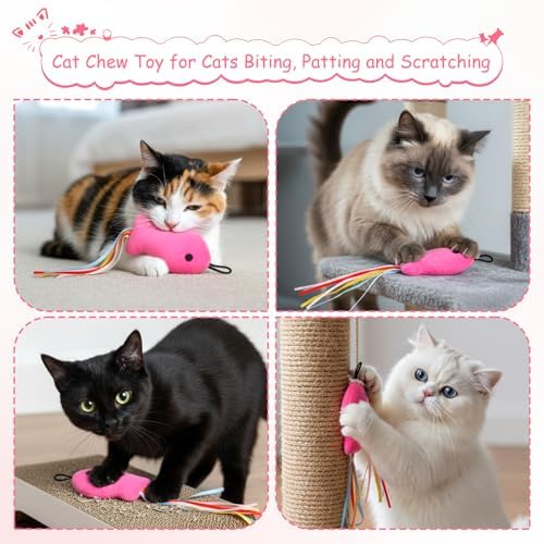 5 Pcs Cat Toys Rose Red Fish, Premium Cat Wand Toy Accessories with Ribbons Catnip Toys for Indoor Cats Exercise and Play - Image 7