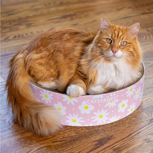 Catstages Scratch & Snuggle 2-in-1 Cat Scratcher & Lounger, Corrugated Cardboard Scratching Pad, Bowl-Shaped Design for Kittens & Indoor Cats up to 15 lbs, 16" - Image 7