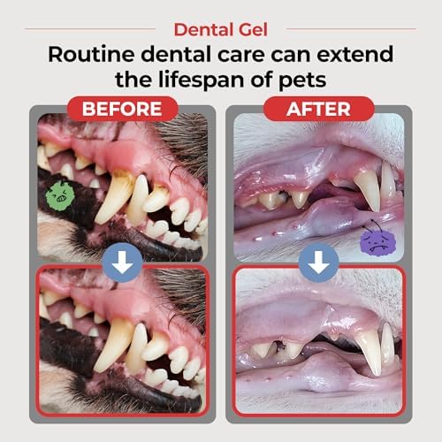 JAYU PET Dental Gel Dog Cat Toothpaste, 2.8 Ounce - Image 2