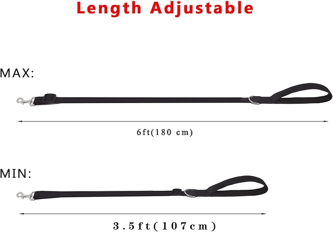 6FT/ 10FT Adjustable Dog Leash, Nylon Dog Leashes for Medium Large Dogs (10FT, Sky Blue)