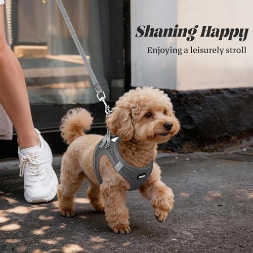 No Pull Dog Puppy Harness and Leash Set Reflective Mesh Vest Large - Image 6