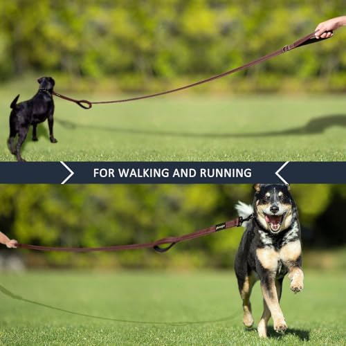 Plutus Pet Double Handle Dog Leash, 4 FT Long, for Medium Large Dogs - Image 7