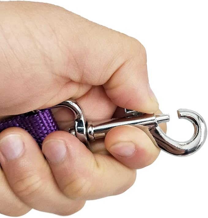 Nylon Dog Training Leash, Traction Rope, 4Ft /5 Foot /6 Feet Long, 5/8 inch 3/4 Inch 1 Inch Wide, for Small and Medium Dogs (Purple, 1'' x 15 FT)