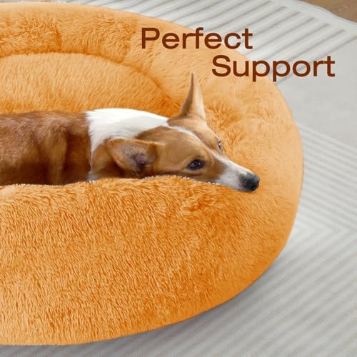 JOLLYVOGUE Dog Beds Large Sized Dog, 36 inches Calming Soft Anti-Anxiety Donut Dogs Bed, Washable Round Fluffy Cushion for Large Pets, Fits up to 80 lbs Pets - Image 2