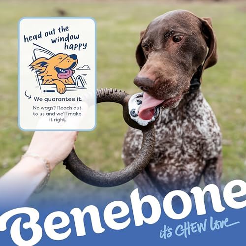 Benebone Ring Dog Chew Toy for Aggressive Chewers, Blueberry, Medium - Image 6