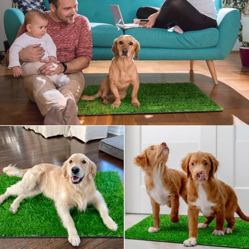 Pee Pads for Dogs with Fake Grass, 27" x 21" Indoor Artificial Grass for Dogs Potty, Lawn Pee Pads for Doggie Washable, Reusable and Lawn for Replacement, Puppy Training Litter Box for Outdoor Patio - Image 2