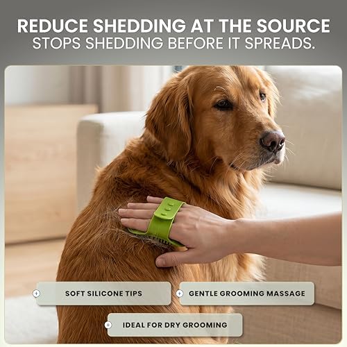 5-in-1 Kit Pet Hair Remover for Furniture & Couch - Reusable Lint Roller, Dog & Cat Fur Remover for Carpet, Car & Clothes, Mini Travel Roller, Grooming & Bath Brush Set for Sofa, Upholstery & Bedding - Image 6