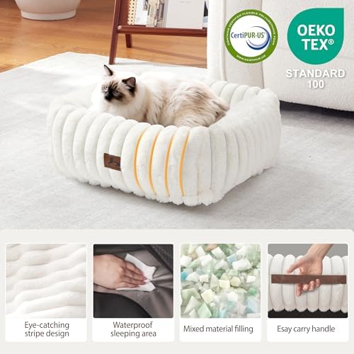 Cute Dog Bed for Small Dogs & Cats,Washable Fluffy Cat Beds for Indoor Cats, Rectangle Orthopedic Memory Foam Puppy Beds with Anti-Slip Bottom, 20 x19 x 6 Inches, Cream (20x19x6 inches) - Image 2