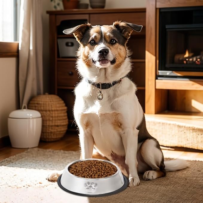 FAMILY'S BACKYARD Dog Bowls,Stainless Steel Dog and Cat Bowls, with a Diameter of 24CM at The Mouth and 30CM at The Bottom for Rust and Corrosion Prevention.