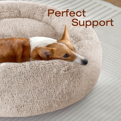 JOLLYVOGUE Dog Bed, Calming Anti-Anxiety Large Dog Bed, Fluffy Donut Cushion for Medium and Large Pets (27") - Image 2