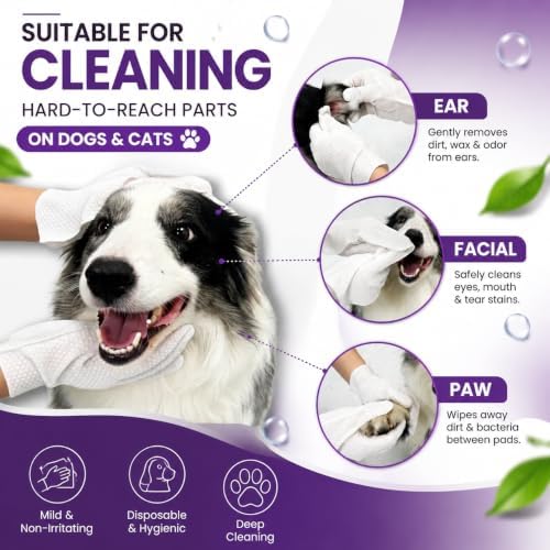 Pet Glove Wipes for Dogs & Cats, 30Pcs Deodorizing Cleaning Gloves with Coconut Oil, Vet Recommended Hypoallergenic Bathless Grooming Wipes for Paws, Body & Ears, No-Rinse - Image 2