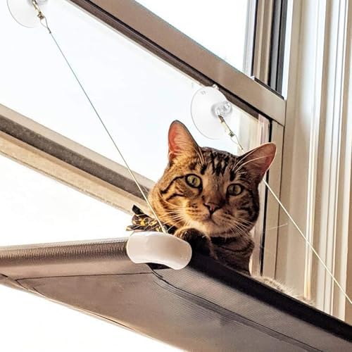 4 PCS Window Perch Suction Cup Large Replacement Clear PVC Sucker Pads Powerful Suction Cups for Cat Window Bed Seat Hammocks - Image 7