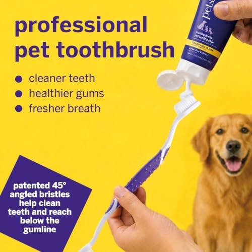 petsmile Professional Pet Toothbrush, Patented 45° Cats + Dogs - Image 2