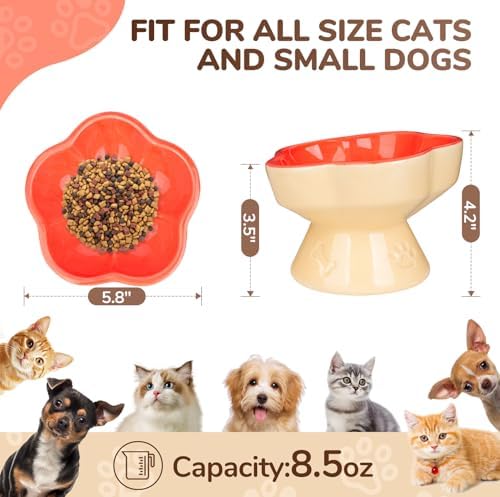 S&Q's CERAMICS Raised Cat Bowl, Elevated Cat Bowl for Food and Water, Ceramic Titled Dish, Anti Vomit & Whisker Friendly, Microwave and Dishwasher Safe (Orange, 5.8") - Image 2