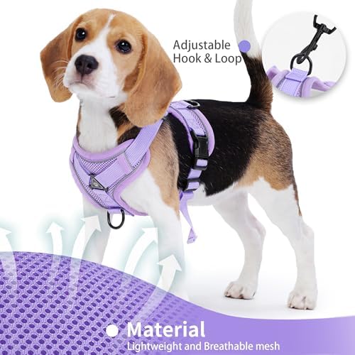 Dog Harness Small Sized Dog Pet Vest with Leash Set Lilac M - Image 2