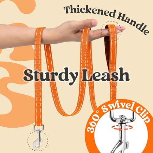rabbitgoo Dog Harness Small Sized and Leash Set, Step in Soft Vest - Image 7