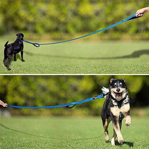 Plutus Pet Double Handle Dog Leash, 4 FT Long, for Medium Large Dogs - Image 7
