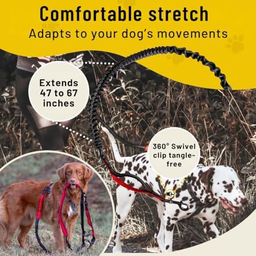 Hundefreund Hands-Free Dog Leash Replacement Bungee (47–67”) – Extension for Medium & Large Dogs – Shock-Absorbing with Dual Handles & Reflective Stitching (Red) - Image 7