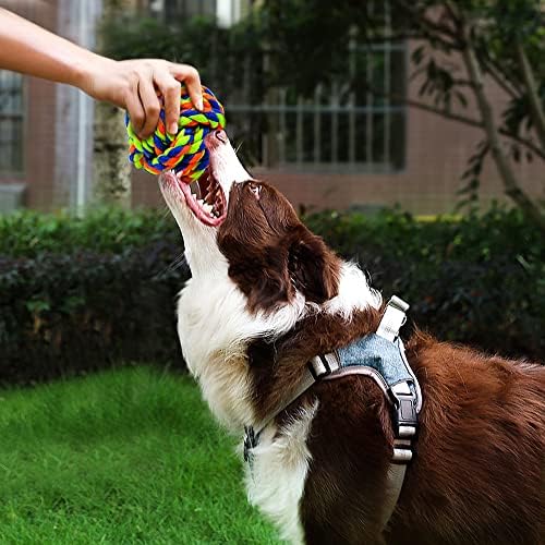 Pet Chew Toy, Knots Weave Cotton Rope, Biting Small Ball for Dogs & Cats, 6 in One Pack - Image 7