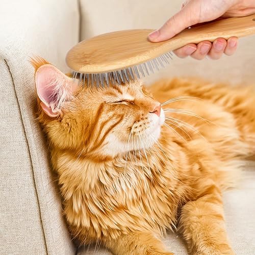 cobee Stainless Steel Pin Dog Brush, Bamboo Handle Grooming Brush 20mm Round Pins Airbag Pet Comb Professional Dog Pin Brush Fur Shedding Comb for Long or Short Hair Cat Dog - Image 7