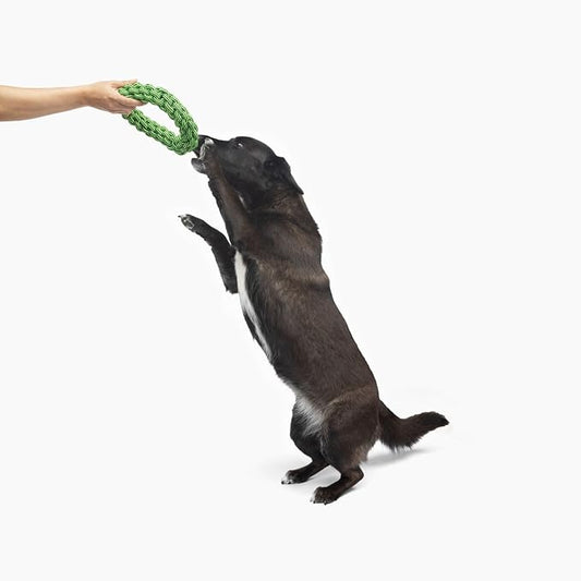 Jolly Pets TIK-Tak-Tugzz Large/XL O Rope Dog Toy