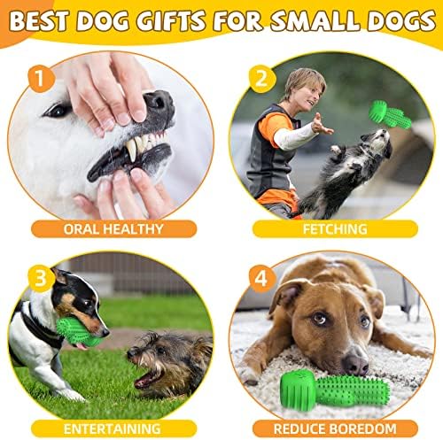 Pamlulu Christmas Dog Gifts, Dog Toys for Small Dogs Dog Toothbrush for Teething Cleaning, Rubber Squeaky Toys for Puppy - Image 2