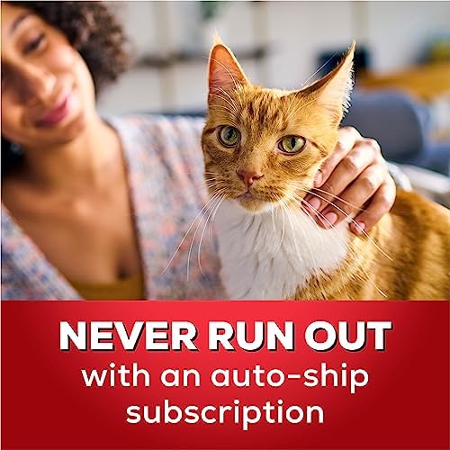 Purina Tidy Cats Clumping Cat Litter, 24/7 Performance Multi Cat Litter - 40 lb. Bag - Image 7