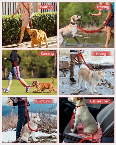 Hands Free Dog Leash & Car Seatbelt Set, Crossbody Leash for Dog Walking - Image 7
