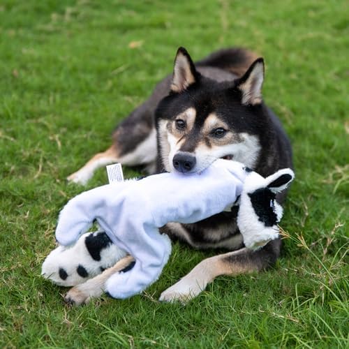 Best Pet Supplies 2-in-1 Stuffless Squeaky Dog Toy - Cow, Medium - Image 6