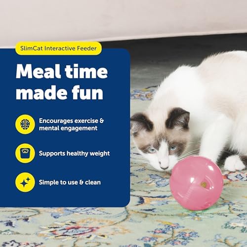 PetSafe Slimcat Feeder Ball Cat Toy, Pink, 1 Count (Pack of 6) - Image 2