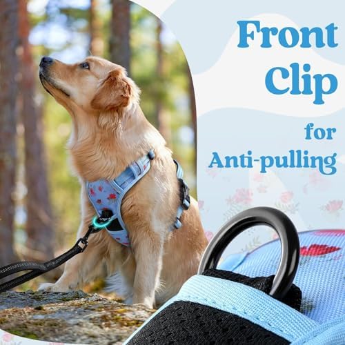 rabbitgoo Dog Harness Medium Sized, Updated Easy On & Off with 3 Buckles - Image 7