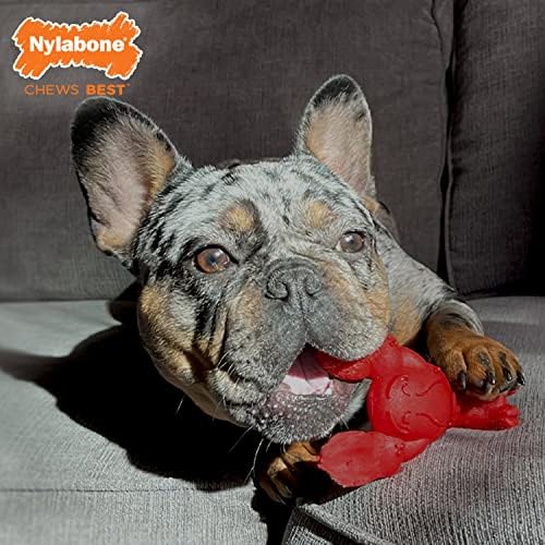 Nylabone Lobster Power Chew Toy for Dogs, Dog Toys for Aggressive Chewers - Image 2