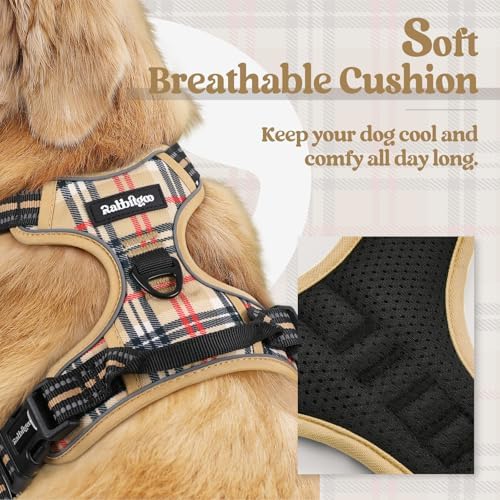 rabbitgoo Dog Harness, No Pull for Large Dogs with 2 Leash Clips, Pet Vest - Image 2