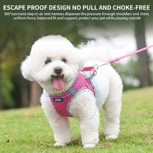 AIITLE XXS Dog Harness & Leash Set with Reflective Design, Hot-Pink, XXS - Image 2