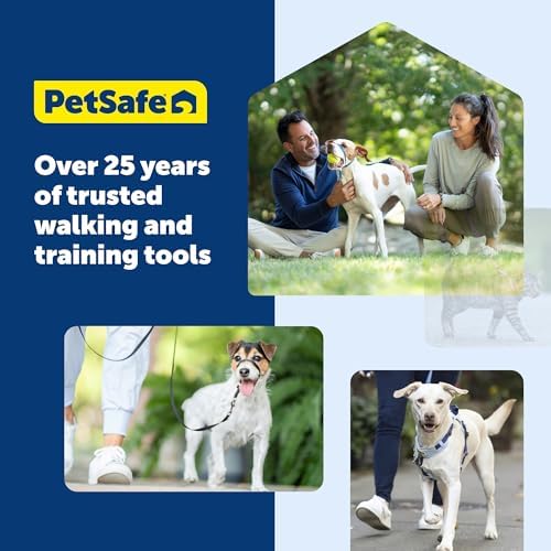 PetSafe Nylon Dog Leash - Strong, Durable, Traditional Style Leash with Easy to Use Bolt Snap - 3/8 in. x 6 ft., Royal Blue - Image 7